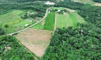 Imagem 6: Fazenda a venda Porteira Fechada com 14 hectares, linda casa sede por R$ 2.800.000 - Irand