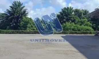 Imagem 2: Galpão para alugar com vários tamanhos totalizando 12.000m2 em Abrantes-Camaçari