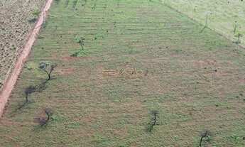 Imagem 2: Chacara 5000 metros apenas 1.7 km de chão topografia plana