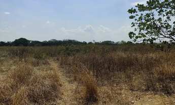 Imagem 2: Vende-se Lote 7,5 Hectares - Irrigado! No Projeto Jaíba MG