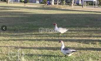 Imagem 3: Casa à venda Rua Felipe Arísio, Hípica - Porto Alegre