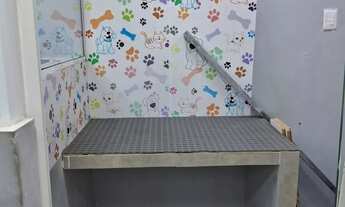 Imagem 4: Passo Ponto loja Vila da Penha