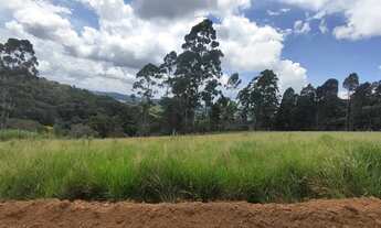 Imagem: Ds(lotes avenda tem 1000 metros quadrados