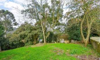 Imagem 6: Vendas Terreno Curitiba PR