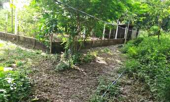 Imagem 7: Excelente Chácara Recreio à 42 km de Cuiabá