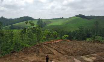 Imagem 4: Terreno descansopolis Campos do Jordão