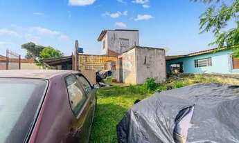 Imagem 3: Terreno 300m² Bom Princípio, Preço Reduzido!