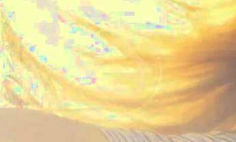 Imagem 7: LINDO SOBRADO COM 3 SUÍTES