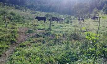 Imagem 3: Vendo sitio 8 alqueires