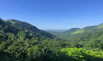 Imagem 5: Sítio / Ilha de Guaratiba, com 13.000m2. Vista da Restinga da Marambaia