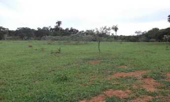 Imagem 4: Fazendinhas de 20.000m² com córrego nos fundos. Serra do Cipó (Temos varias opções)