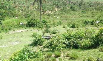 Imagem 2: Fazenda/Sítio/Chácara para venda com 62 hectares Escriturados (70 Hect Total) em Pombos-PE