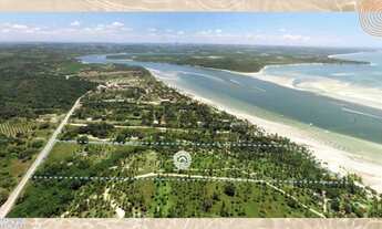 Imagem 5: Beach Class Carneiros