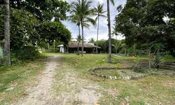 Imagem 3: Vendo terreno em Itaúnas - ES