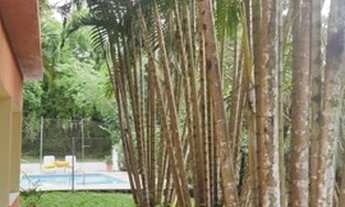 Imagem 4: Lindo Sítio - Centro - Tanguá - RJ