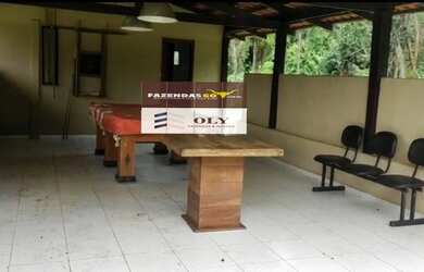 Imagem 3: Oportunidade ! Terra com 6 alqueires no município de Silvania !