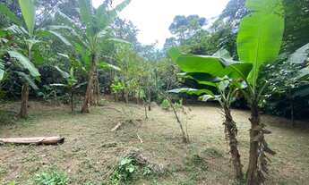 Imagem 3: Terreno à venda, 1092 m² por R$ 240.000,00 - Bonete - Ilhabela/SP