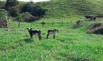 Imagem 3: Rio Bonito - Linda Fazenda - Totalmente Pronta!