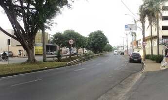 Imagem 3: Excelente apartamento no Ed. Mirage