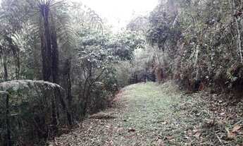 Imagem 3: Lote/Terreno para venda com 20000 metros quadrados