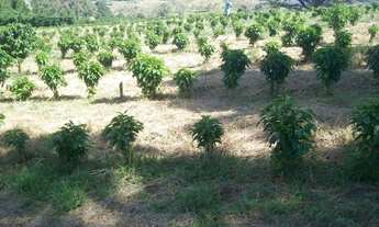 Imagem 6: Sítio Morungaba/SP/BR (Milo