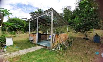 Imagem 7: SÍTIO EM PRESIDENTE FIGUEIREDO - R$ 65.000,00