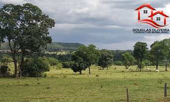 Imagem: Fazenda 295,24 Hectares Região De Campina