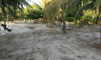 Imagem 6: Vendo ótimo sítio no Parque Araçagy - Área total com 6945 m² - São Luis - Ma