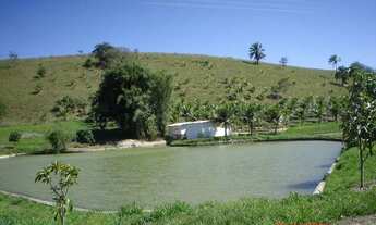 Imagem 4: PAPUCAIA - Linda e produtiva Fazenda 9 alqueires