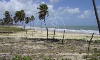 Imagem 2: CEARá-MIRIM - Terreno Padrão - Muriú