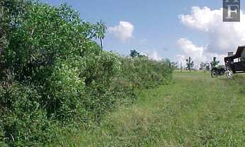Imagem 3: Terreno para Venda em Morro da Silveira Garopaba-SC