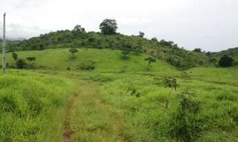 Imagem 4: Fazenda Pecuária Produtiva - Itapetinga - 20 Alqueires