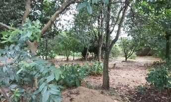 Imagem 8: Chácara à venda, 2150 m² por R$ 530.000,00 - Campestre - Piracicaba/SP