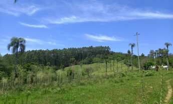 Imagem 6: Fazenda/Sítio/Chácara para venda com 170000 metros quadrados em Lomba Grande - Novo Hambur