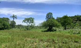 Imagem 7: Fazenda/Sítio/Chácara para venda com 170000 metros quadrados em Lomba Grande - Novo Hambur