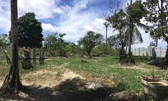 Imagem 3: Vendo excelente Área no município de Goiana / PE