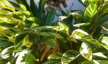 Imagem 3: Aluga-se quarto em Hostel Holístico