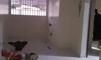 Imagem: Apartamento para alugar no cristo