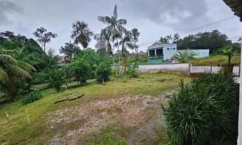 Imagem 5: Vendo excelente sítio/casa super arborizado