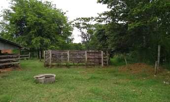 Imagem 4: São Paulo fazenda/Sítio 05 alqueires a 3 kilometros da cidade de Pérola no Paraná ótima lo