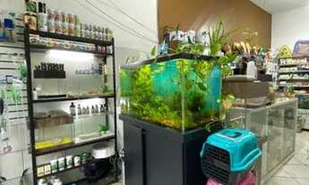 Imagem 7: Passo Ponto Pet Shop Completa