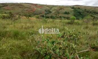 Imagem 3: Fazenda à venda, 3 quartos, Área Rural de Uberlândia - Uberlândia/MG
