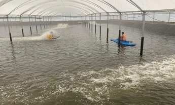 Imagem 4: Arrendamento Fazenda de Camarão