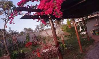 Imagem 4: Lote excelente , com paisagismo