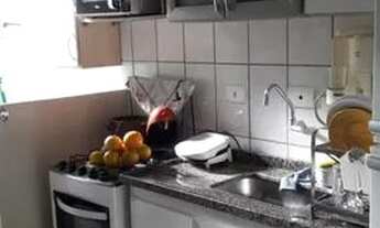 Imagem 6: APARTAMENTO - BARRA FUNDA - SP