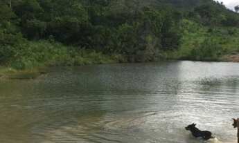 Imagem 2: . Uma Fazenda 400 Alqueires 80 km do município de Rosalândia Tocantins