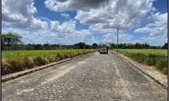 Imagem 3: LIMOEIRO - Casa Padrão - CAMPO GRANDE