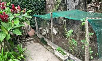 Imagem 7: Vende-se Casa com Terreno 522 m2 - Santo ANDRÉ