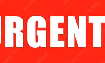 Imagem: PRECISO ALUGAR UMA CASA