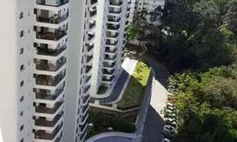 Imagem 4: APARTAMENTO - JARDIM MARAJOARA - SP